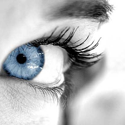 augenbrauen wimpern
